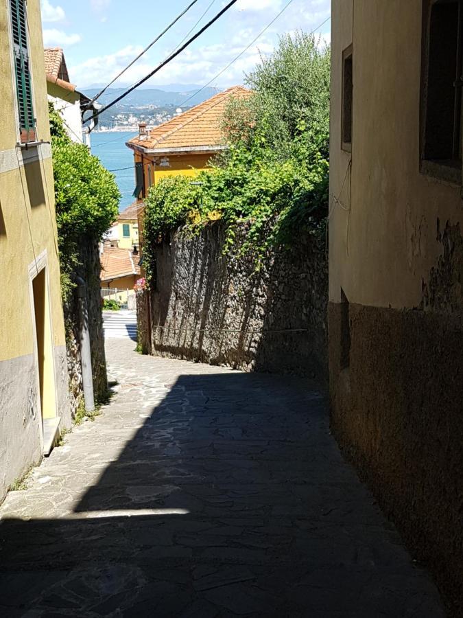 Carugio Del Fezzano Bed & Breakfast Fezzano  Luaran gambar